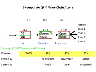 Management of SPVD: A model for production, multiplication and delivery of clean planting material in Uganda