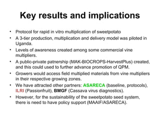 Management of SPVD: A model for production, multiplication and delivery of clean planting material in Uganda