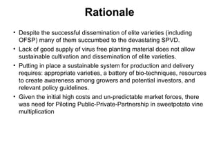 Management of SPVD: A model for production, multiplication and delivery of clean planting material in Uganda
