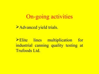 Participatory evaluation of common bean genotypes for adaptation and yield potential in drought-prone areas of Kenya