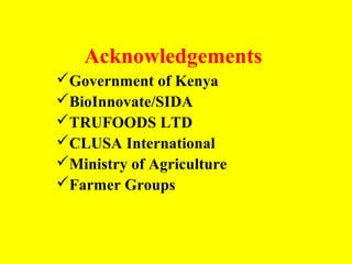 Participatory evaluation of common bean genotypes for adaptation and yield potential in drought-prone areas of Kenya