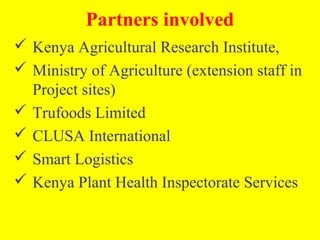 Participatory evaluation of common bean genotypes for adaptation and yield potential in drought-prone areas of Kenya