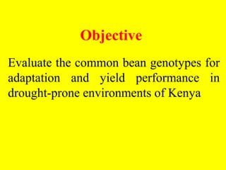 Participatory evaluation of common bean genotypes for adaptation and yield potential in drought-prone areas of Kenya