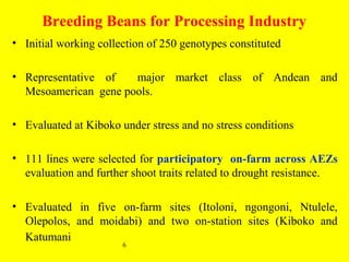 Participatory evaluation of common bean genotypes for adaptation and yield potential in drought-prone areas of Kenya