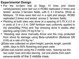 Preliminary participatory on-farm sorghum variety selection for tolerance to drought, soil acidity and striga in Western Kenya