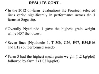 Preliminary participatory on-farm sorghum variety selection for tolerance to drought, soil acidity and striga in Western Kenya