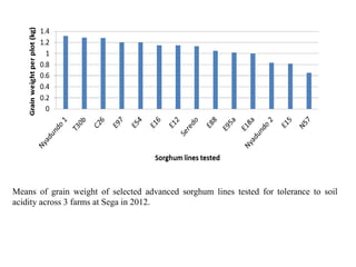 Preliminary participatory on-farm sorghum variety selection for tolerance to drought, soil acidity and striga in Western Kenya