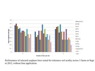 Preliminary participatory on-farm sorghum variety selection for tolerance to drought, soil acidity and striga in Western Kenya
