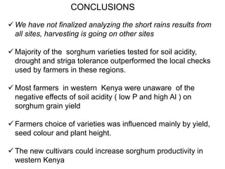 Preliminary participatory on-farm sorghum variety selection for tolerance to drought, soil acidity and striga in Western Kenya