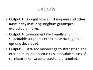 Preliminary participatory on-farm sorghum variety selection for tolerance to drought, soil acidity and striga in Western Kenya