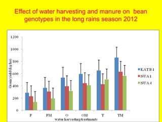 Response of micro-dense bean varieties to fertility and water harvesting technologies in the semi-arid areas of eastern Kenya