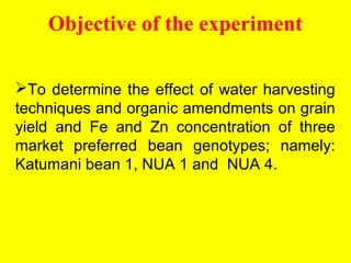 Response of micro-dense bean varieties to fertility and water harvesting technologies in the semi-arid areas of eastern Kenya