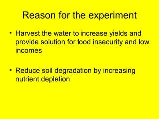 Response of micro-dense bean varieties to fertility and water harvesting technologies in the semi-arid areas of eastern Kenya