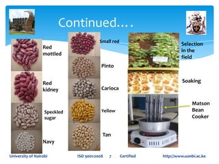 Variation and selection for cooking time in drought tolerant canning beans (Phaseolus vulgaris)