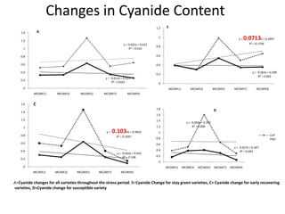 Enhancing food security through improved seed systems of appropriate cassava, resilient to climate change in Eastern Africa