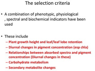 Enhancing food security through improved seed systems of appropriate cassava, resilient to climate change in Eastern Africa