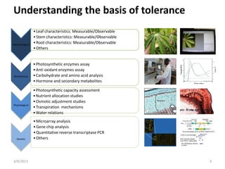 Enhancing food security through improved seed systems of appropriate cassava, resilient to climate change in Eastern Africa