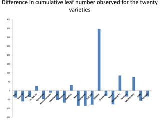 Enhancing food security through improved seed systems of appropriate cassava, resilient to climate change in Eastern Africa