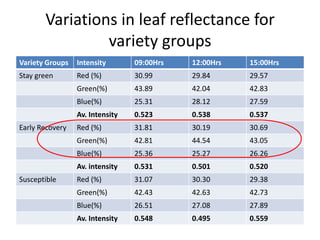 Enhancing food security through improved seed systems of appropriate cassava, resilient to climate change in Eastern Africa