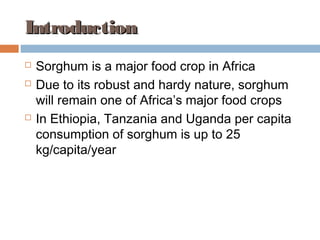 Evaluation of sorghum varieties for the production of snack bars