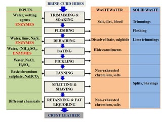 Industrial enzymes for sustainable bio-economy: Large scale production and application in industry, environment, and agriculture