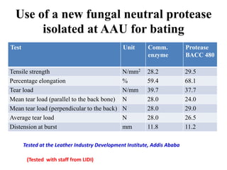 Industrial enzymes for sustainable bio-economy: Large scale production and application in industry, environment, and agriculture