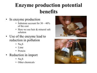 Industrial enzymes for sustainable bio-economy: Large scale production and application in industry, environment, and agriculture