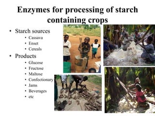 Industrial enzymes for sustainable bio-economy: Large scale production and application in industry, environment, and agriculture
