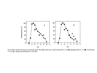 Industrial enzymes for sustainable bio-economy: Large scale production and application in industry, environment, and agriculture