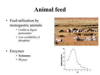 Industrial enzymes for sustainable bio-economy: Large scale production and application in industry, environment, and agriculture