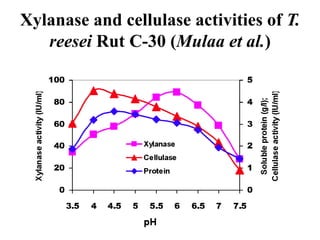Industrial enzymes for sustainable bio-economy: Large scale production and application in industry, environment, and agriculture