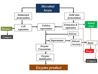 Industrial enzymes for sustainable bio-economy: Large scale production and application in industry, environment, and agriculture