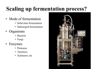 Industrial enzymes for sustainable bio-economy: Large scale production and application in industry, environment, and agriculture