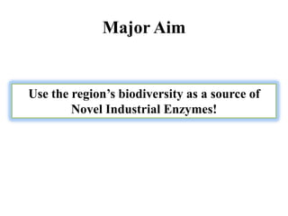 Industrial enzymes for sustainable bio-economy: Large scale production and application in industry, environment, and agriculture