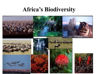 Industrial enzymes for sustainable bio-economy: Large scale production and application in industry, environment, and agriculture