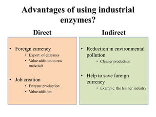 Industrial enzymes for sustainable bio-economy: Large scale production and application in industry, environment, and agriculture