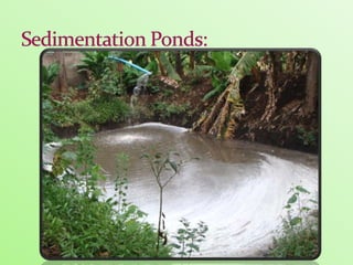 Technology diffusion from University to the Private Sector – Integrating Waste Management and Bio-energy Production – The Case of Bio-Innovate