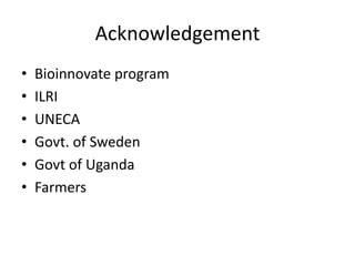 The potato seed system in Uganda - An end-user perspective