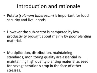 The potato seed system in Uganda - An end-user perspective