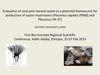Evaluation of sisal post-harvest waste as a potential bioresource for
  production of oyster mushrooms (Pleurotus sapidus (P969) and
                          Pleurotus HK-37)

                       ANTHONY MSHANDETE-UDSM


               First Bio-Innovate Regional Scientific
        Conference, Addis Ababa, Ethiopia, 25-27 Feb 2013
 