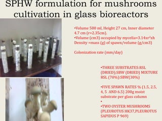 Evaluation of sisal post-harvest waste as a potential bioresource for production of oyster mushrooms (Pleurotus sapidus (P969) and Pleurotus HK-37)