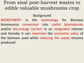 Evaluation of sisal post-harvest waste as a potential bioresource for production of oyster mushrooms (Pleurotus sapidus (P969) and Pleurotus HK-37)