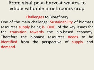 Evaluation of sisal post-harvest waste as a potential bioresource for production of oyster mushrooms (Pleurotus sapidus (P969) and Pleurotus HK-37)