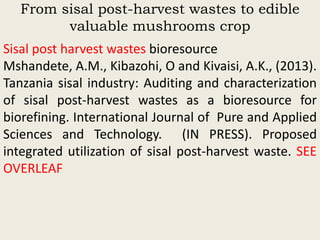 Evaluation of sisal post-harvest waste as a potential bioresource for production of oyster mushrooms (Pleurotus sapidus (P969) and Pleurotus HK-37)