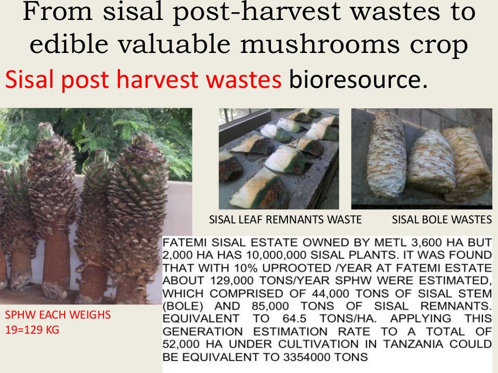 Evaluation of sisal postharvest waste as a potential bioresource for…