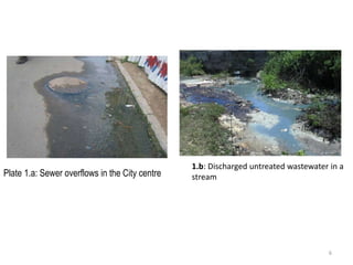 Review of policies and regulatory incentives/disincentives for development and adoption of innovations for industrial effluent management in Tanzania