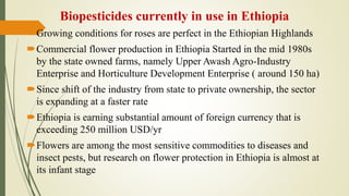 Review of the current status of the development, regulation and use of biopesticides in Ethiopia