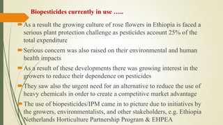 Review of the current status of the development, regulation and use of biopesticides in Ethiopia