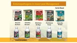 Review of the current status of the development, regulation and use of biopesticides in Ethiopia