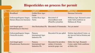 Review of the current status of the development, regulation and use of biopesticides in Ethiopia